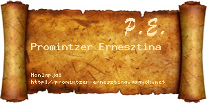 Promintzer Ernesztina névjegykártya